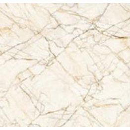 Gạch Trường Thịnh GENESIS SERIES VA86J802P